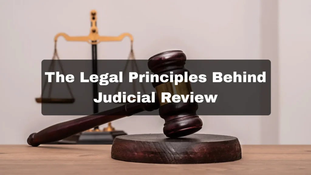 Why Some Immigration Refusals Are Overturned: The Legal Principles Behind Judicial Review